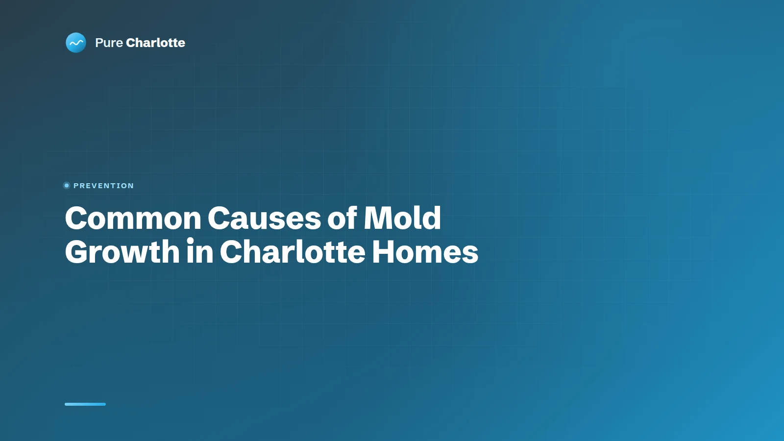 Common Causes of Mold Growth in Charlotte Homes and How to Prevent It