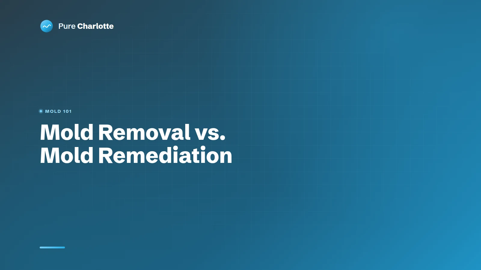 Mold Removal vs. Mold Remediation