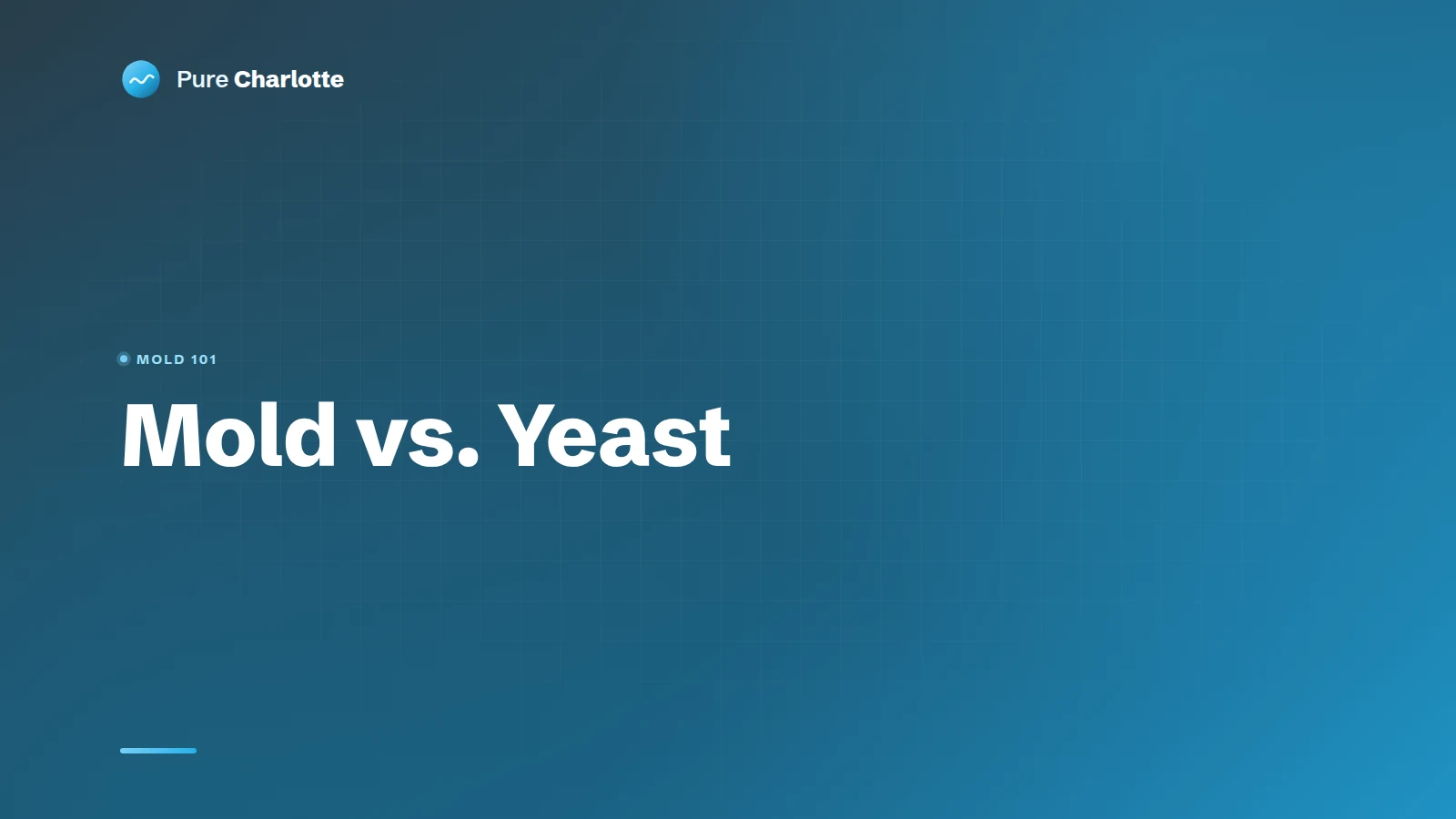 Mold vs. Yeast