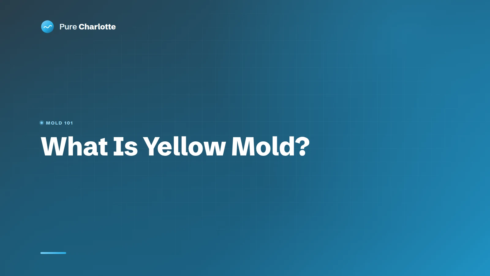 What is Yellow Mold?